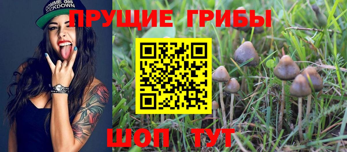 Псилоцибиновые грибы MAGIC MUSHROOMS Гай