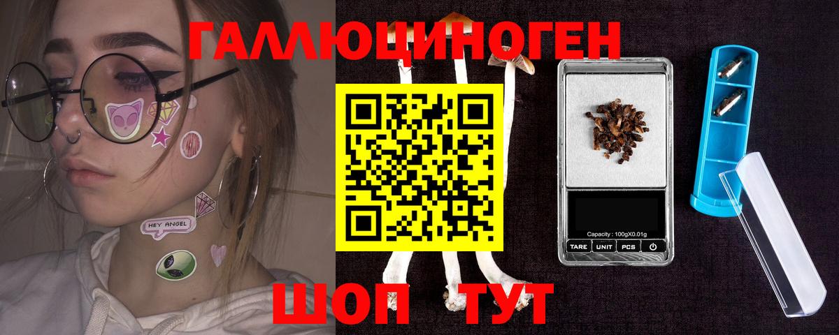 Псилоцибиновые грибы Cubensis  Вход с VPN  Гай 